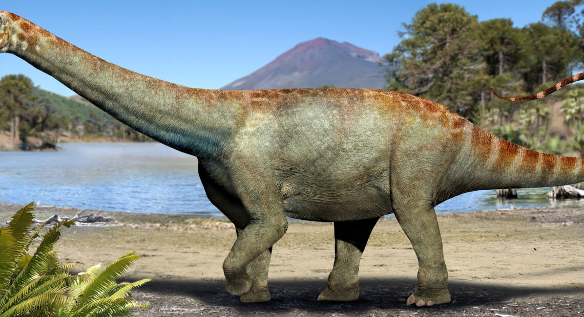 Arackar licanantay (Ilustración Mauricio Álvarez Abel)