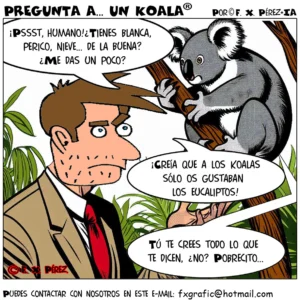 tiraPreguntaaunKoaladia21octubre2025