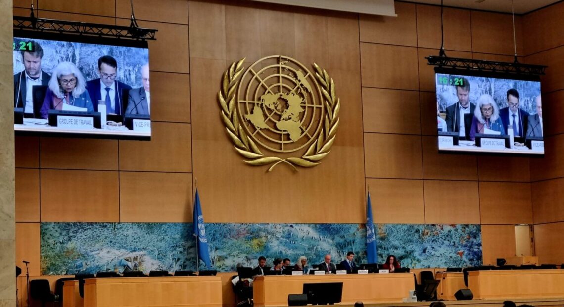 Ms. Shalmali Guttal, Chair-Rapporteur, Working Group on the rights of peasants and other people working in rural areas.